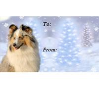Shetland Sheepdog/Sheltie (Merle) Dog Christmas Labels (42) - Self Adhesive