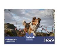 Shetland Sheepdog1000 Piece Jigsaw Puzzle for Adultspet Dog Premium Box, Extra Fun Challenges, for Women, Gifts for Men, Stunning Scenic Puzzle38x26cm/1000pcs