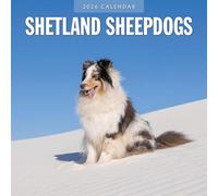 Shetland Sheepdogs - 2026 Square Wall Calendar - by Red Robin Publishing