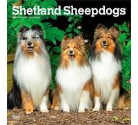 Shetland Sheepdogs 2027 12 X 24 Inch (Hanging) Monthly Square Wall Calendar Plastic-Free: Original BrownTrout-Kalender [Mehrsprachig] [Kalender]