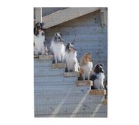 Shetland SheepDogs AlaskanWooden Puzzles for Adults 1000 Pieces, Jigsaw Puzzle