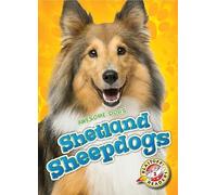 Shetland Sheepdogs (Awesome Dogs)