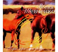 Shevchenko,Zhenya - Zhenya Shevchenko: Keep on Shining My Star