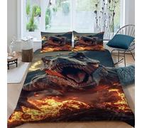 SHEVIOMB Dinosaur Volcano 3 Pieces Duvet Cover,3D Printed Chaos Volcano Beast Bedding Set,2 Pillowcases,Hidden Zipper,Microfiber Quilt Cover,King（220x240cm）