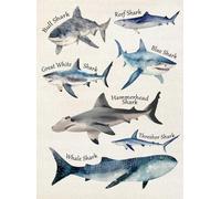 SHFTQXSLAT Shark Species Poster for Kids Room - Educational Wall Art with Different Types of Sharks, Underwater Themed Nursery or Big Kid Bedroom Decor(Unframed,16x24inch(40x60cm))