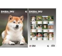 Shiba Inu 2026 Calendar - A3 Size 30 x 42 cm, 12 Months of Great Photography