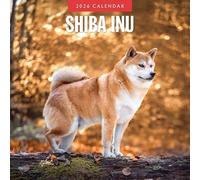 Shiba Inu - 2026 Square Wall Calendar - by Red Robin Publishing