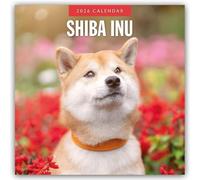 Shiba Inu 2026 Square Wall Calendar: Original Red Robin Publishing Ltd-Kalender [Mehrsprachig] [Kalender]
