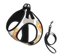 Shiba Inu,Pet Harness,Adjustable Reflective Dog Harness,Pet Leash Vest,M