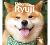 Shiba Inu Ryuji