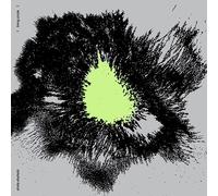 Shida Shahabi - Living Circle