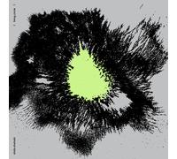 Shida Shahabi - Living Circle