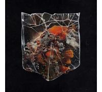 Shields - Death & Connection