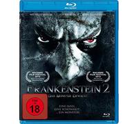 SHIELDS,MICHELLE/KRUEGER,TIM/STEPHENSON,ADAM/+++ - FRANKENSTEIN 2-DAS MONSTER ERWACHT (1 BLU-RAY)