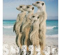 Shiggy Jr. - Summer Time Love (CD+DVD) [Japan LTD CD] UMCK-9747