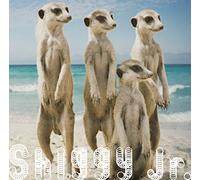 Shiggy Jr. - Summer Time Love [Japan CD] UMCK-5575