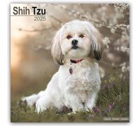 Shih Tzu Calendar 2025 Dog Breed Gift Wall Calendar 15% OFF MULTI ORDERS