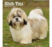 Shih Tzu 2026 - 16-Monatskalender: Original BrownTrout-Kalender [Mehrsprachig] [Kalender]