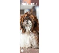 Shih Tzu 2026 Wall Calendar, 12-Month Slim Format, Made in England
