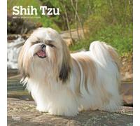 Shih Tzu 2027 12 X 24 Inch (Hanging) Monthly Square Wall Calendar Plastic-Free