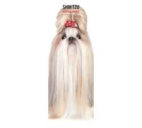 Shih Tzu 2027 Slim Calendar