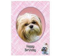 Shih Tzu Birthday Card