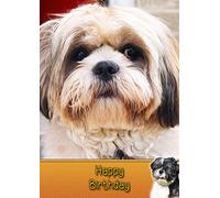 Shih Tzu Birthday Card