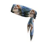 Shih Tzu Close-up, Head Tie, Sports Headband Tie Back, Multi Sweatband for Men Women