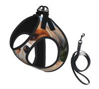 Shih Tzu Close-Up,Pet Harness,Adjustable Reflective Dog Harness,Pet Leash Vest,M