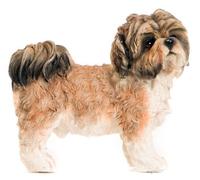 Shih Tzu Decorative Ornament Pet Dog Figurine by Greetingsbox Animal Figurines