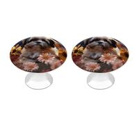 Shih Tzu Dog and Flowers Cabinet Knobs, 2-Pack Silver Stainless Steel Drawer Pulls with Screws, Elegant Hardware for Dressers, Kitchen,Cabinets & Desks