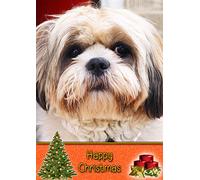 Shih Tzu Dog Christmas Card 'Happy Christmas' - Special Animal Xmas Card for Him Her from Pets Kids