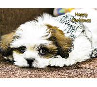 Shih Tzu Dog Christmas Card 'Happy Christmas' - Special Animal Xmas Card for Him Her from Pets Kids