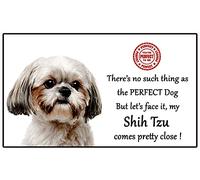 Shih Tzu Dog Gift - Perfect Dog - Fun novelty Flexible 5" x 3" Magnet