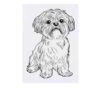 'Shih Tzu Dog Sitting' Temporary Tattoo - Water Resistant, Skin-Safe, Non-Toxic Transfer (TO00080895)