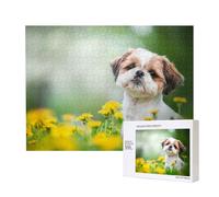 Shih Tzu Little Cute Dogs Curly Puppy Pets Field,500 Pieces Wooden Jigsaw Family Game Jigsaw Puzzles for Adults Teens Home Decor