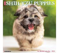 Shih Tzu Puppies 2025 Wall
