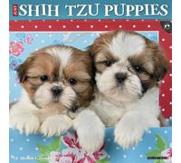 Willow Creek Press, Just Shih Tzu Puppies 2027 Wall Calendar