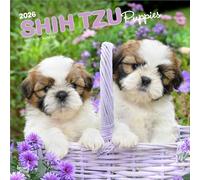 Shih Tzu Puppies - Shih Tzu Welpen 2026 - 16-Monatskalender: Original BrownTrout-Kalender [Mehrsprachig] [Kalender]