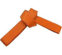 SHIHAN POWER SPORTS Karate Martial Arts Belt Orange 280cm Grading Gym Dojo