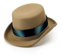 Shihanee Victorian Top Hat Circus Show Hat Cowboy Hat for Adults Halloween Cosplay DIY(Beige and Green,Top Hat)