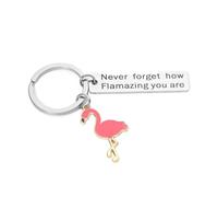 shilipu Flamingo Keychain Never Forget How Flamazing You Are Key Ring Inspirational Words Key Chain Thanksgiving Gifts Keyring for Women Girls Flamingo Lover Gift