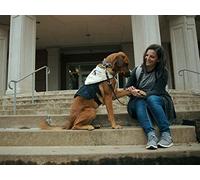 Shilo Schluterman: My K9s For Warriors Story