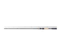 Shimano 22 Expride - Casting