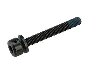 Shimano 81743300 - Fixative Bolt, multicoloured, size 36.8