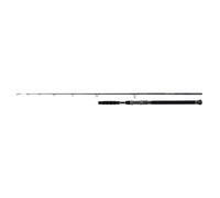 SHIMANO Beastmaster AX Catfish 185 cm 200 g 1 + 1 Piece