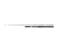 SHIMANO Beastmaster AX Catfish 185 cm 200 g 1+1pc Casting Rod