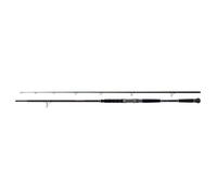 SHIMANO Beastmaster AX Catfish 240 cm 150 g 2pc