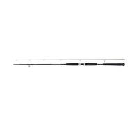 SHIMANO Beastmaster AX Pilk Rod 2.4m 40-95g 2pc
