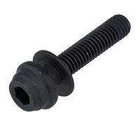 Shimano Spares BR-R8170 caliper fixing bolt, for C2 10 mm